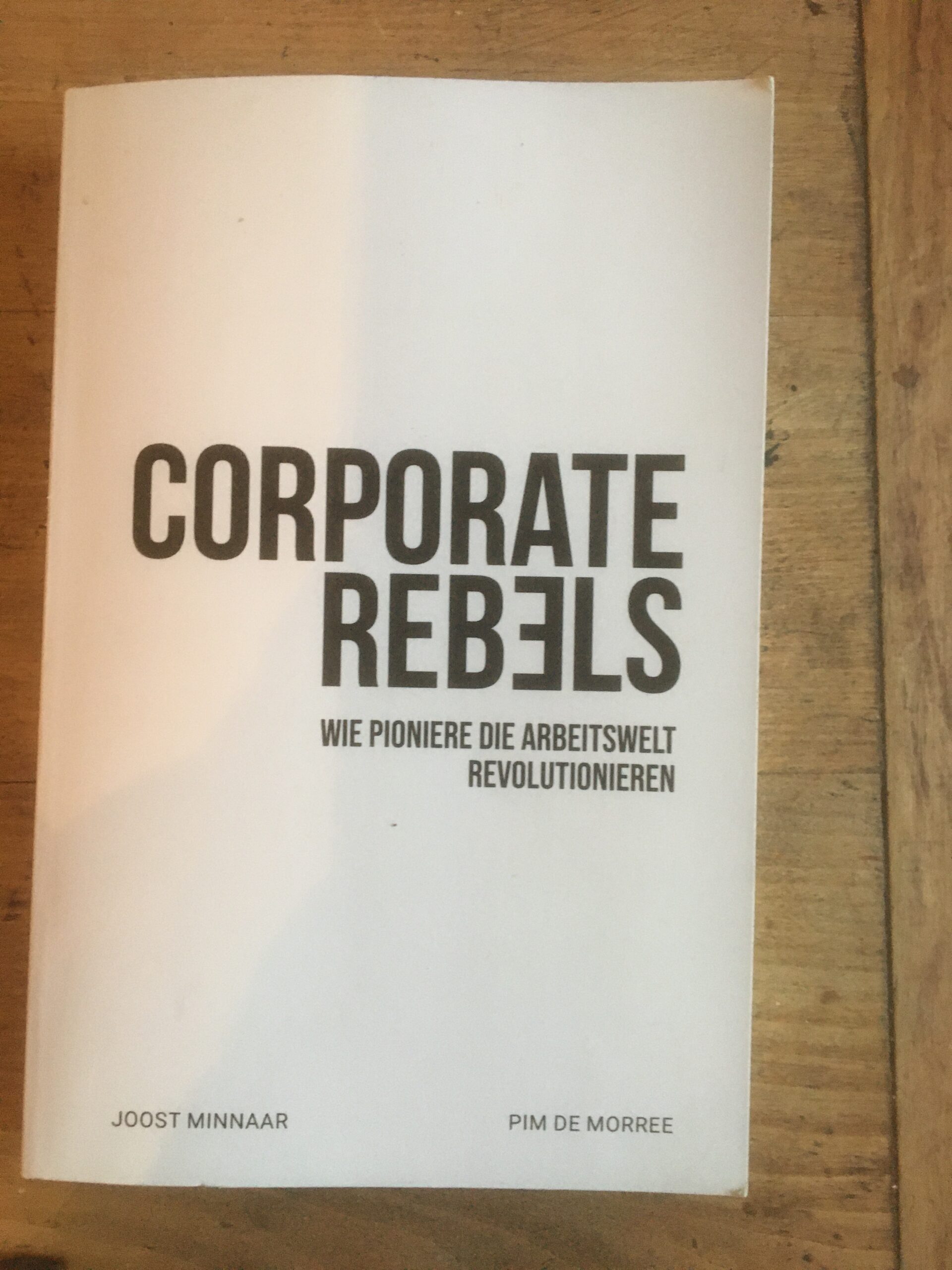 Corporate rebels